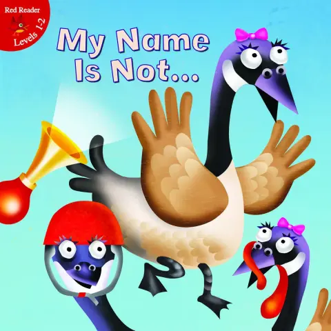 Cover of My Name Is Not