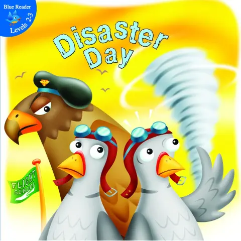Cover of Disaster Day