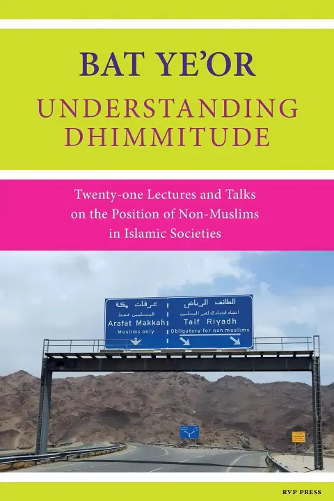 Cover of Understanding Dhimmitude