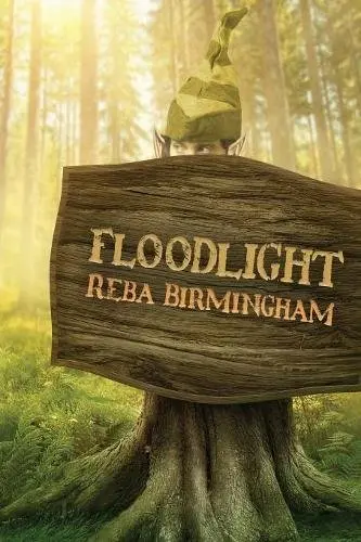 Cover of Floodlight