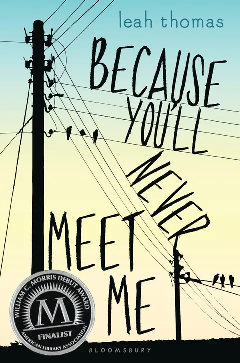 Cover of Because You'll Never Meet Me