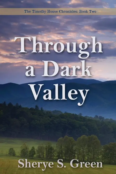 Cover of Through a Dark Valley