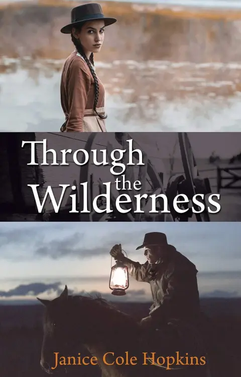 Cover of Through the Wilderness