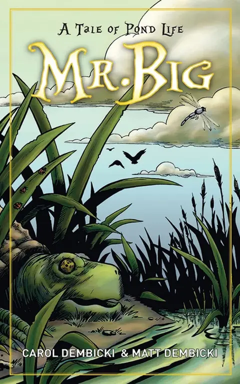 Cover of Mr. Big