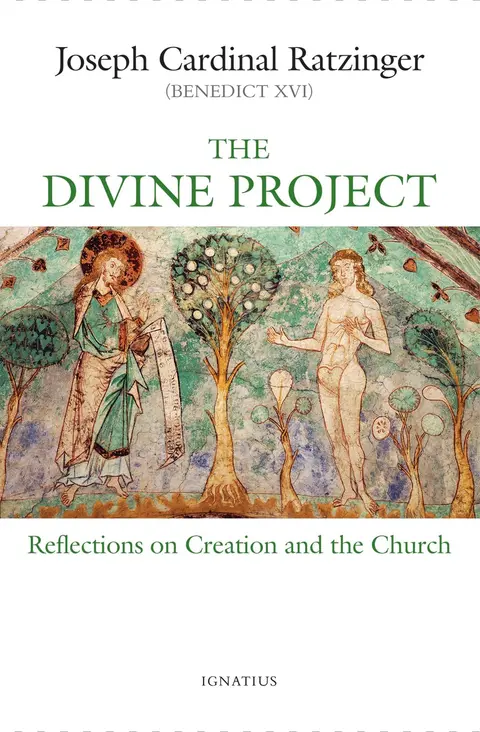 Cover of Divine Project