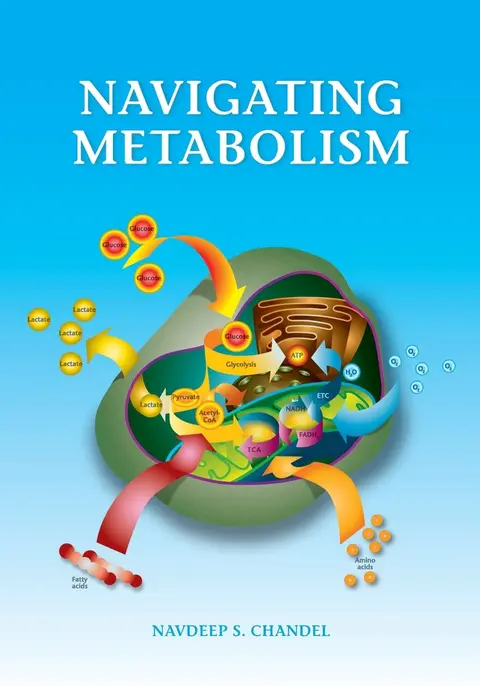 Cover of Navigating Metabolism
