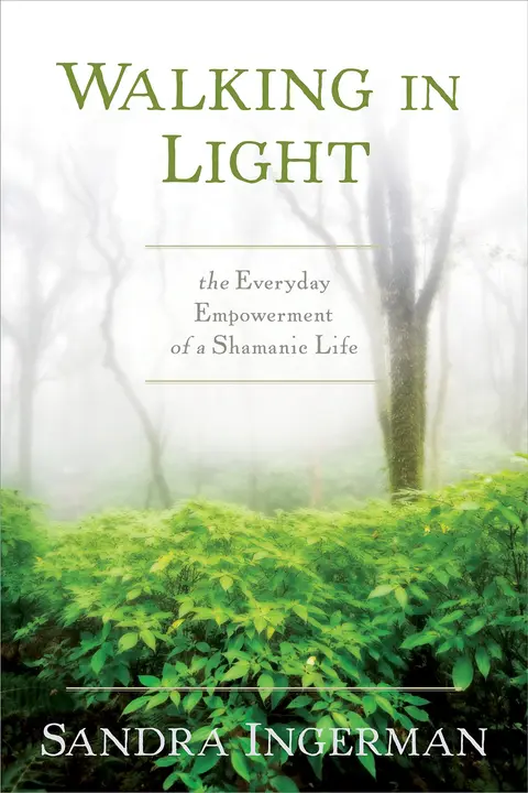 Cover of Walking in Light