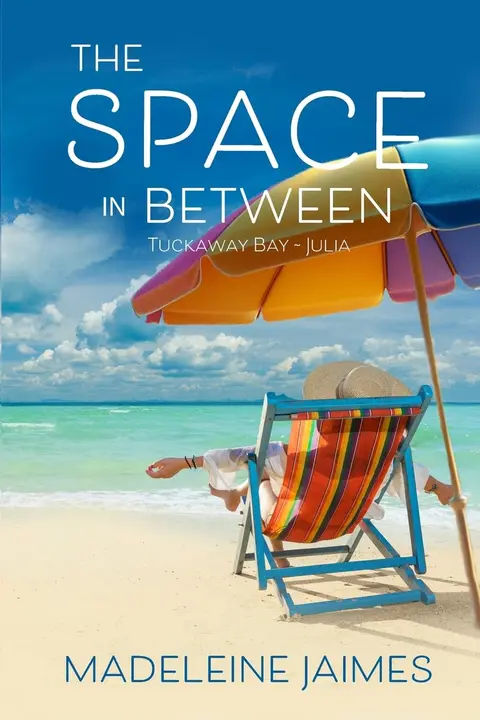 Cover of The Space in Between