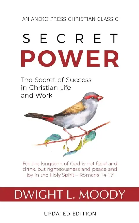Cover of Secret Power