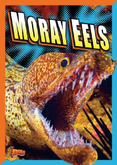 Cover of Moray Eels
