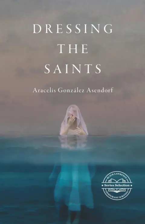 Cover of Dressing the Saints