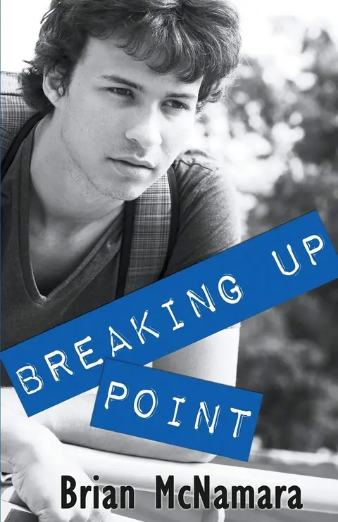 Cover of Breaking up Point