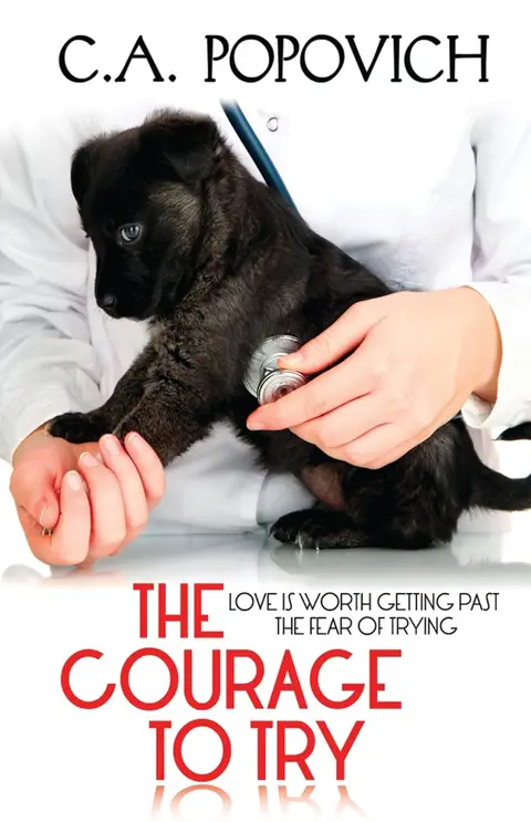 Cover of The Courage to Try