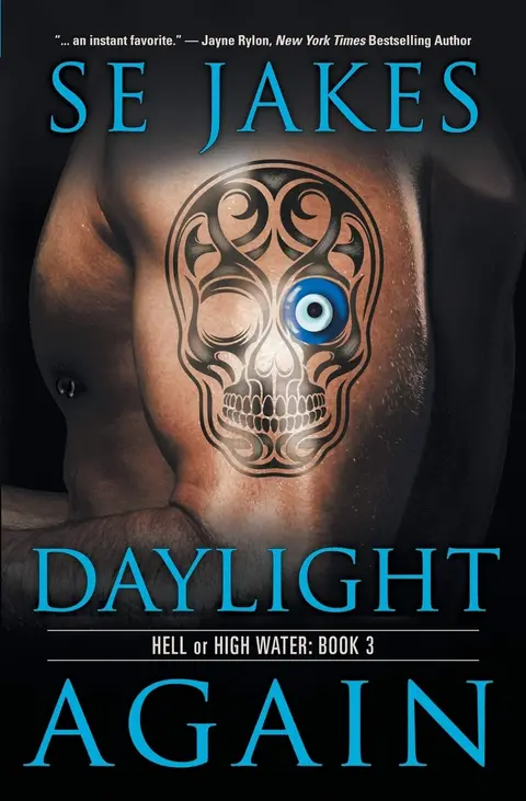 Cover of Daylight Again