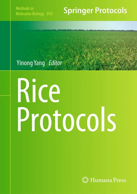 Cover of Rice Protocols