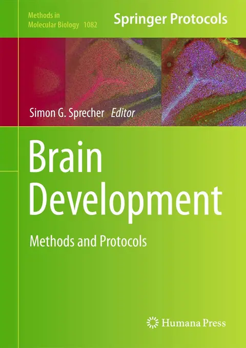 Cover of Brain Development