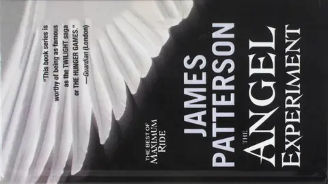Cover of The Angel Experiment