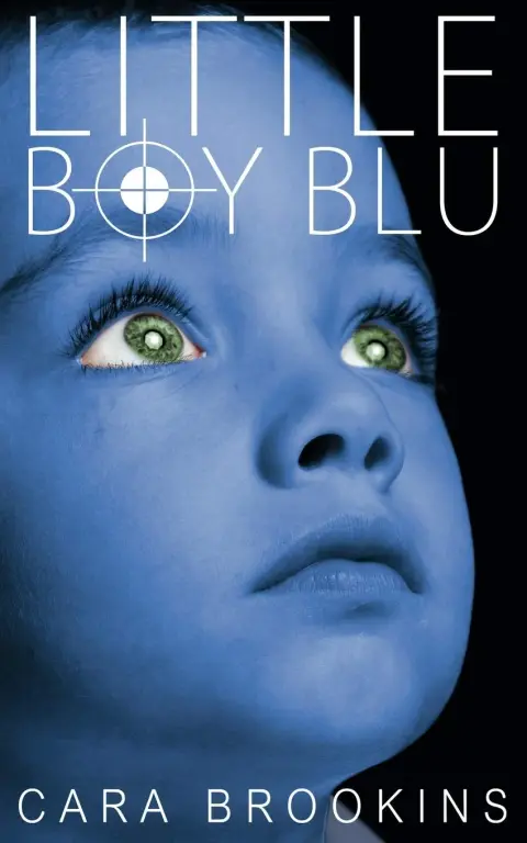 Cover of Little Boy Blu