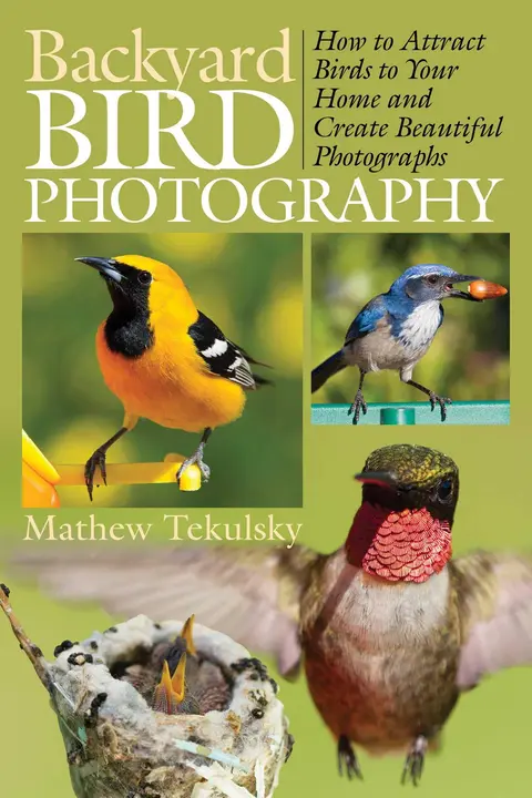 Cover of Backyard Bird Photography