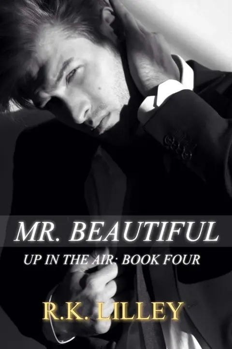 Cover of Mr. Beautiful