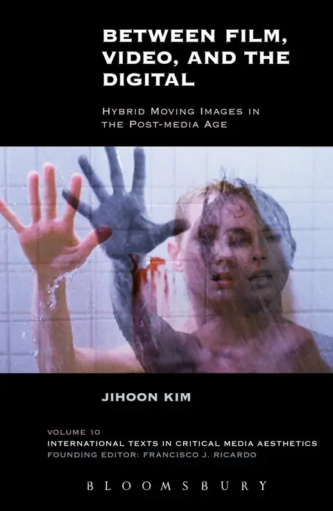 Cover of Between Film, Video, and the Digital