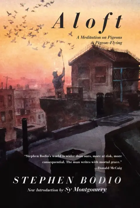 Cover of Aloft