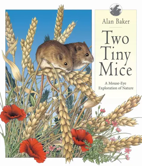 Cover of Two Tiny Mice