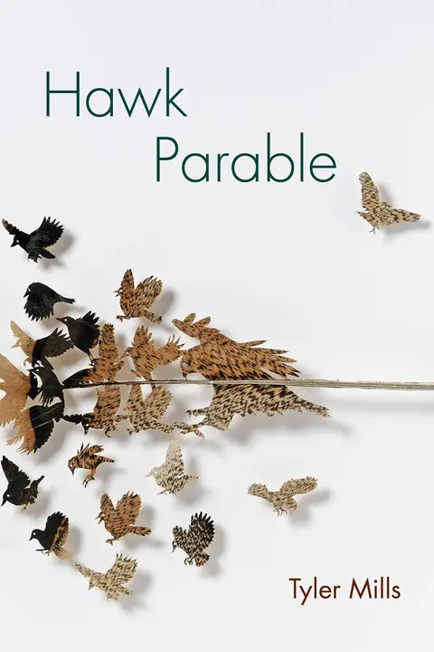 Cover of Hawk Parable