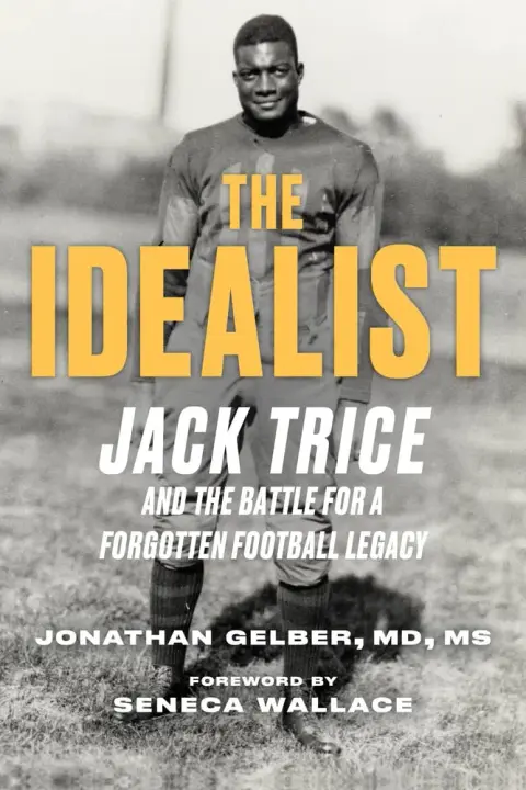 Cover of The Idealist
