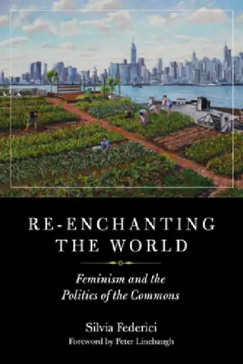 Cover of Re-Enchanting the World