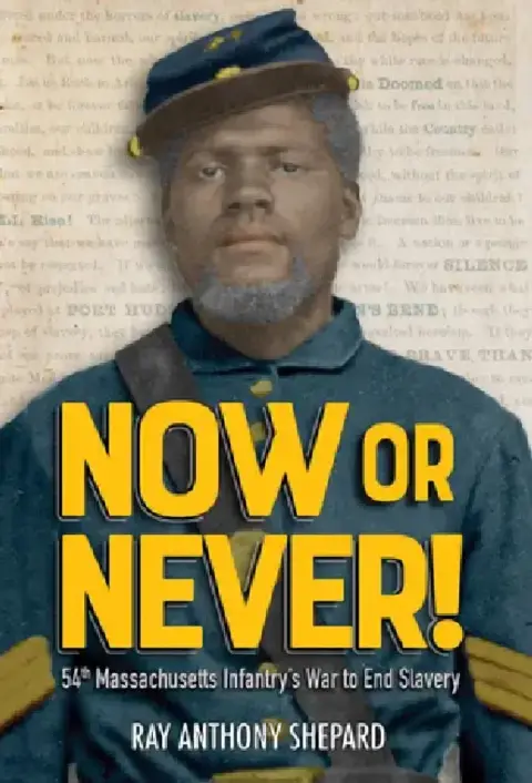Cover of Now or Never!