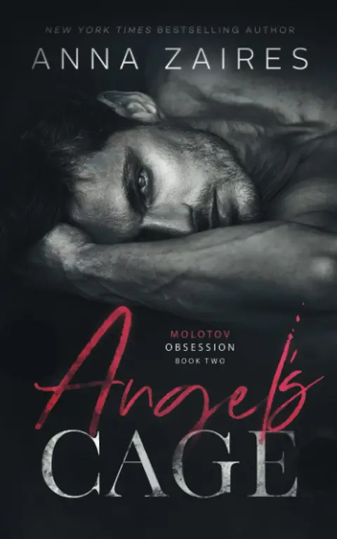 Cover of Angel's Cage
