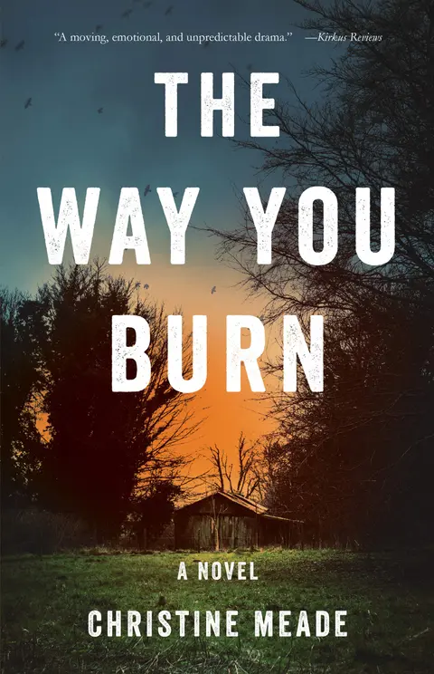 Cover of The Way You Burn