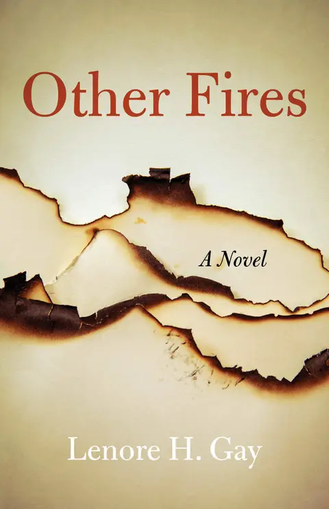 Cover of Other Fires