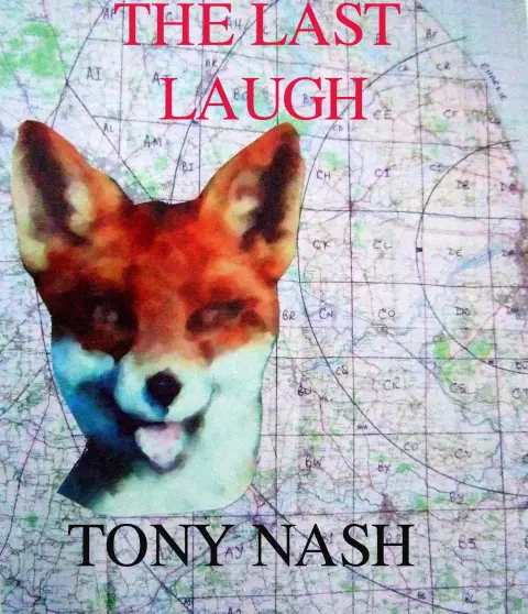 Cover of The Last Laugh