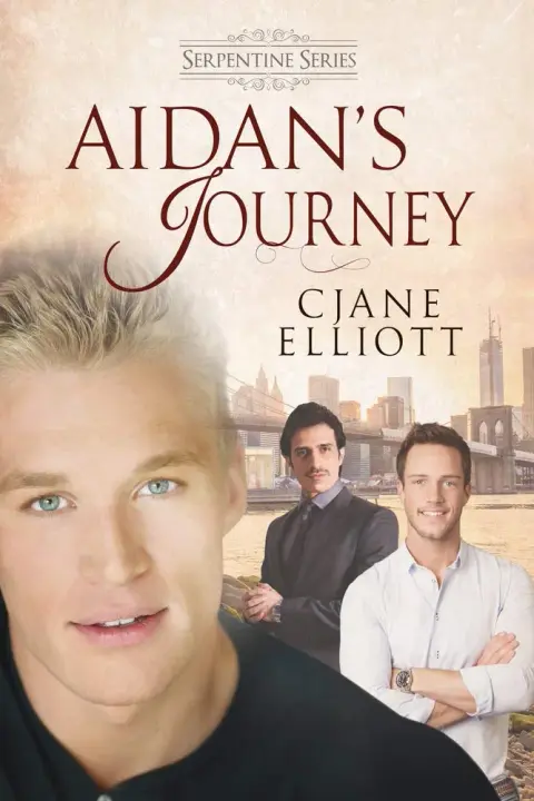 Cover of Aidan's Journey
