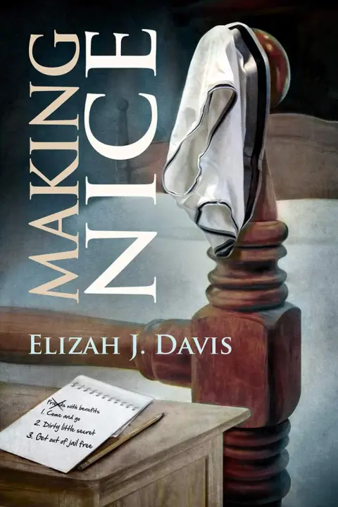 Cover of Making Nice
