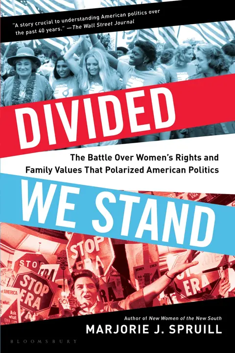 Cover of Divided We Stand