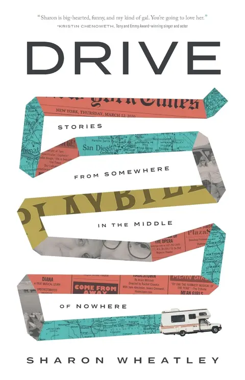 Cover of Drive