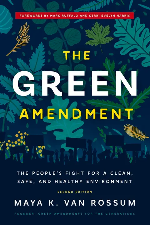 Cover of The Green Amendment