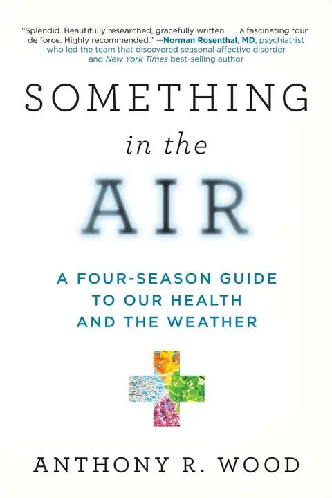 Cover of Something in the Air