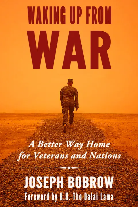 Cover of Waking up from War