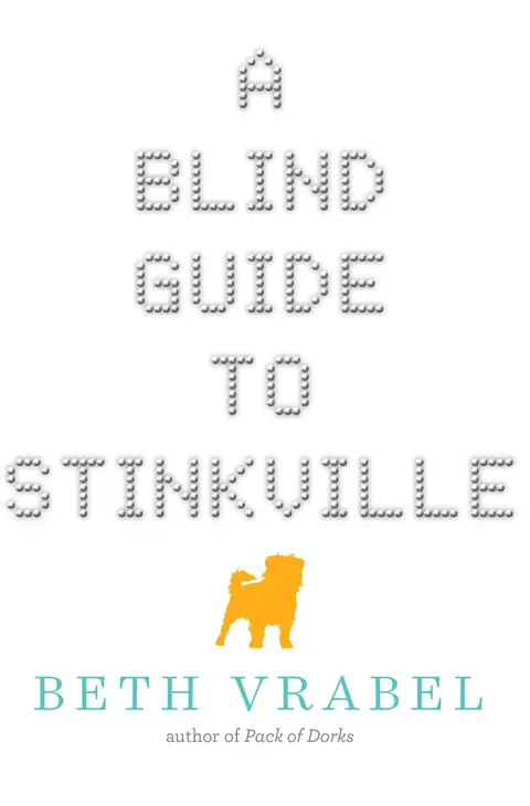 Cover of A Blind Guide to Stinkville