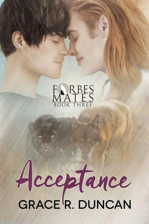Cover of Acceptance