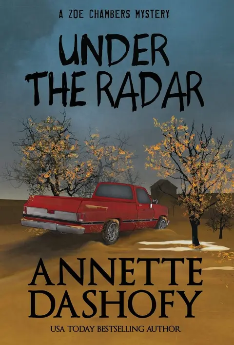 Cover of Under the Radar