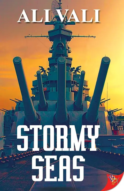 Cover of Stormy Seas