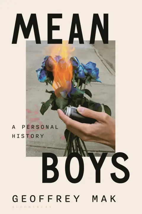 Cover of Mean Boys