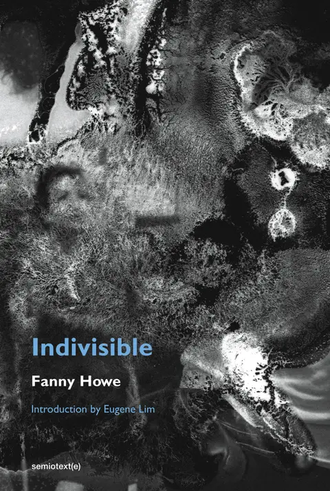 Cover of Indivisible, new edition (Semiotext(e) / Native Agents)