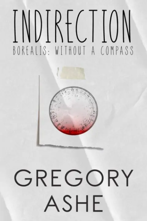 Cover of Indirection