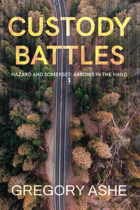 Cover of Custody Battles